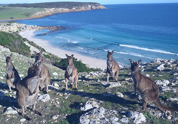 MyBestPlace - Kangaroo Island, an unspoiled oasis in South Australia